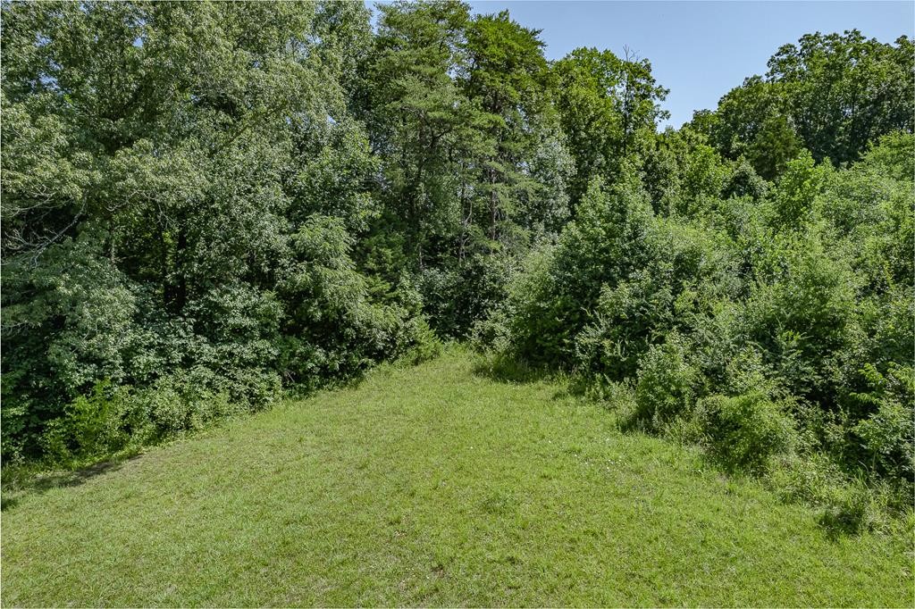 0 State Highway South Decatur, TN 37322 - Photo 12 of 20