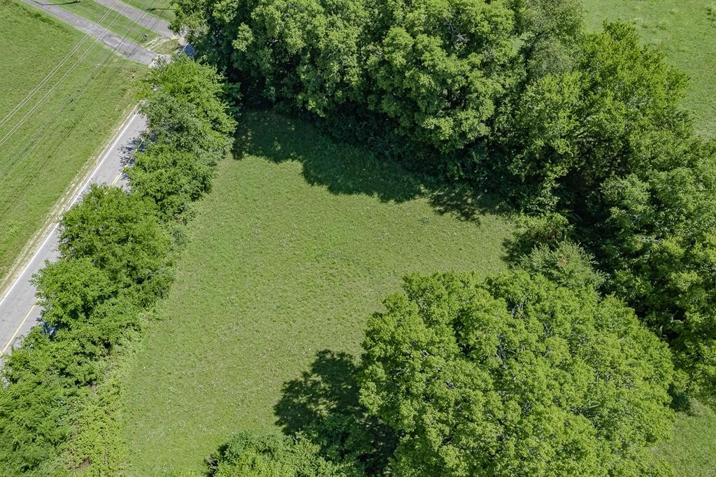 0 State Highway South Decatur, TN 37322 - Photo 4 of 20
