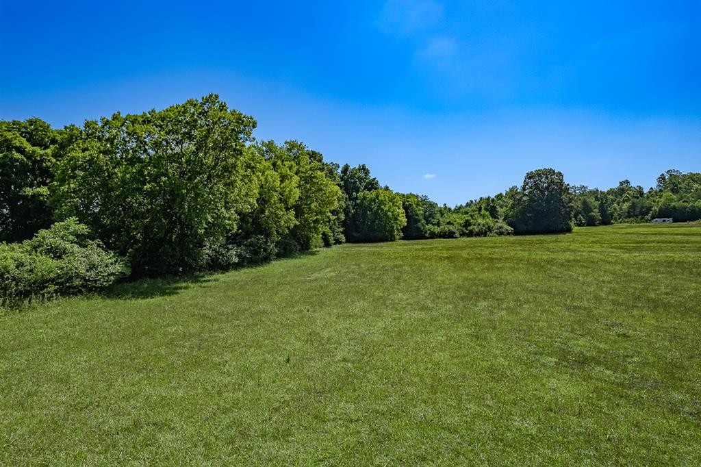 0 State Highway South Decatur, TN 37322 - Photo 6 of 20