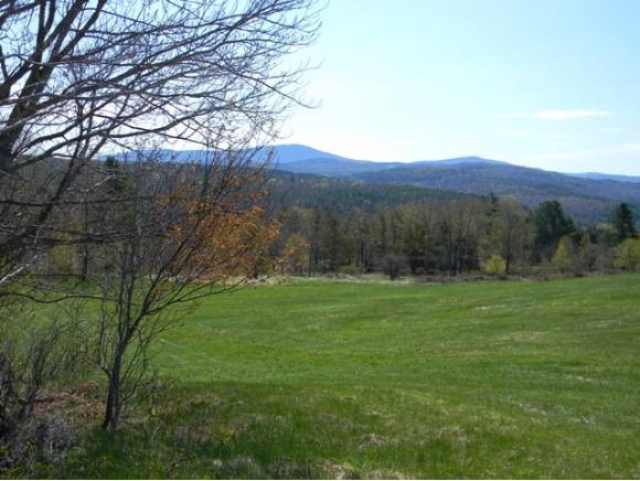 Hateful Hill Road East Wallingford, VT 05742 - Photo 1 of 1 Gallery Image 1