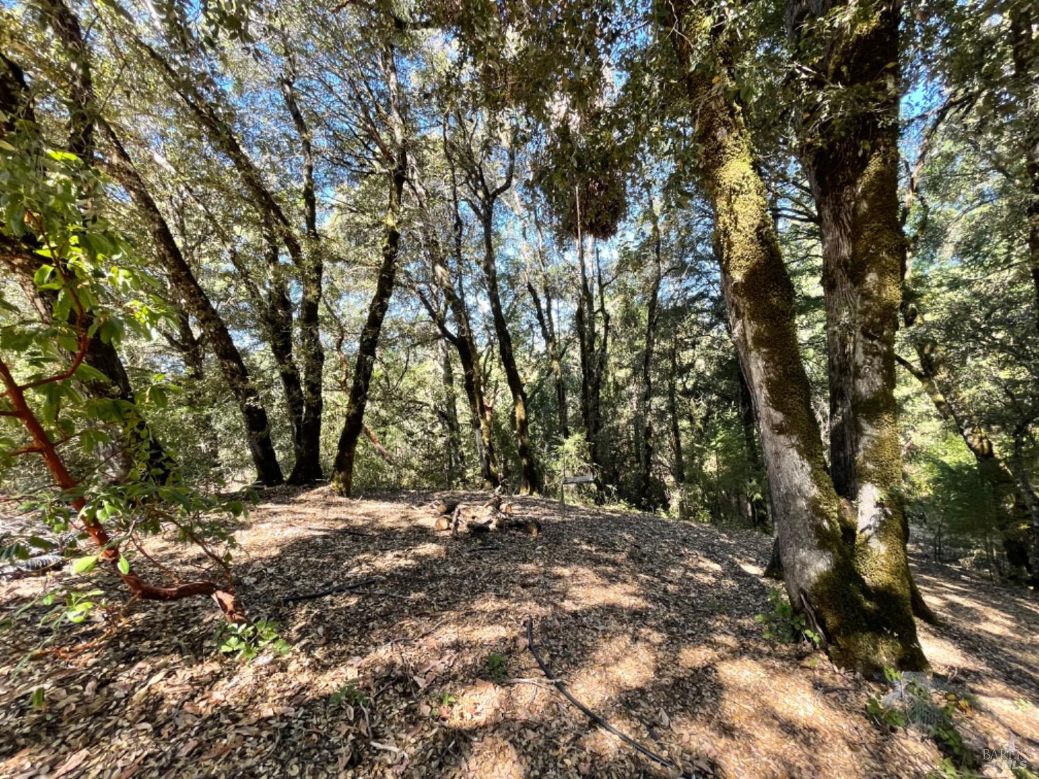 3490 Laytonville Dos Rios Road Laytonville, CA 95454 - Photo 15 of 38