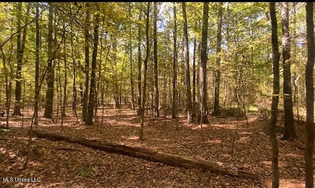 13997 Davenport Road Byhalia, MS 38611 - Photo 3 of 7 IMG_1458