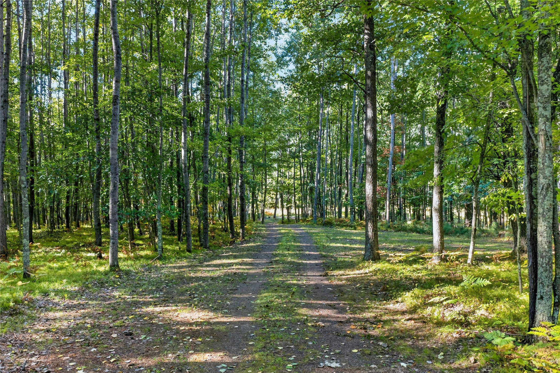 N7526 Pair-O-Lakes Road Spooner, WI 54801 - Photo 29 of 37 Gallery Image 29