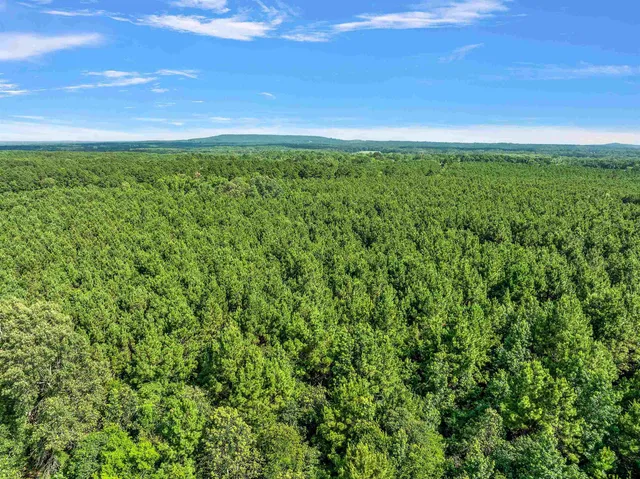 a view of yard with green space