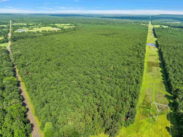 a view of a green field with lots of trees in it