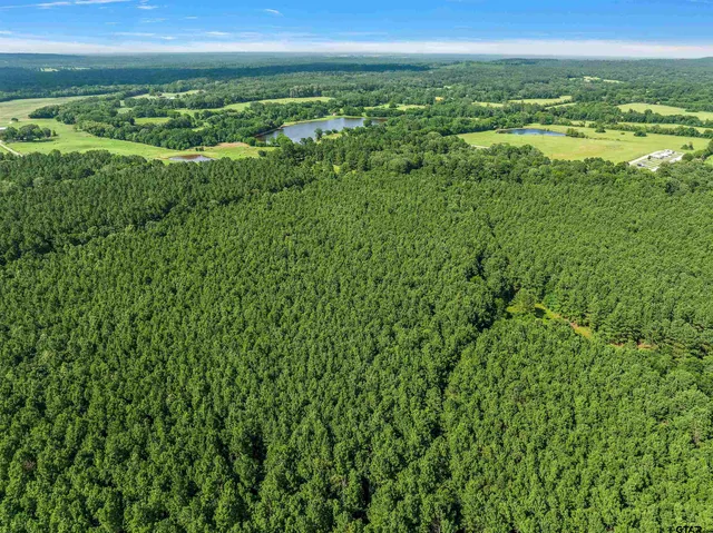 a view of a green field with an ocean view