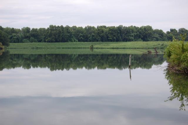 0 Roberts Bend Road Columbia, TN 38401 - Photo 4 of 5 a view of a lake