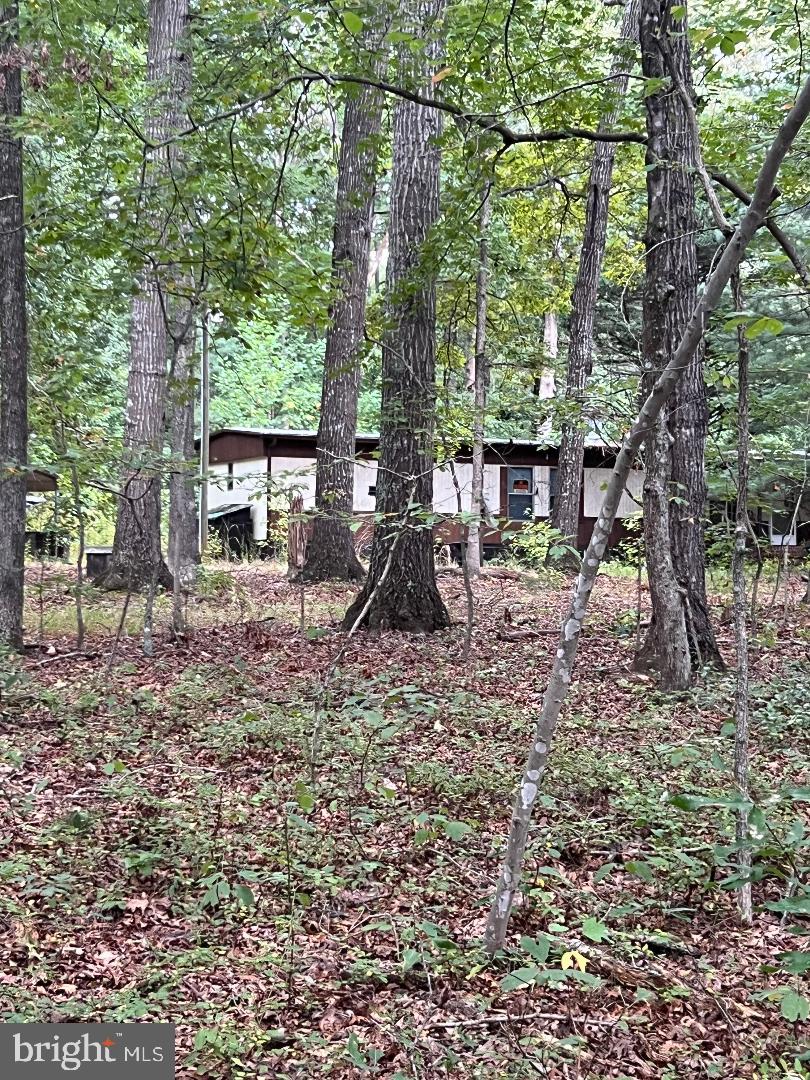 13024 Orange Plank Road Locust Grove, VA 22508 - Photo 2 of 3 Gallery Image 2