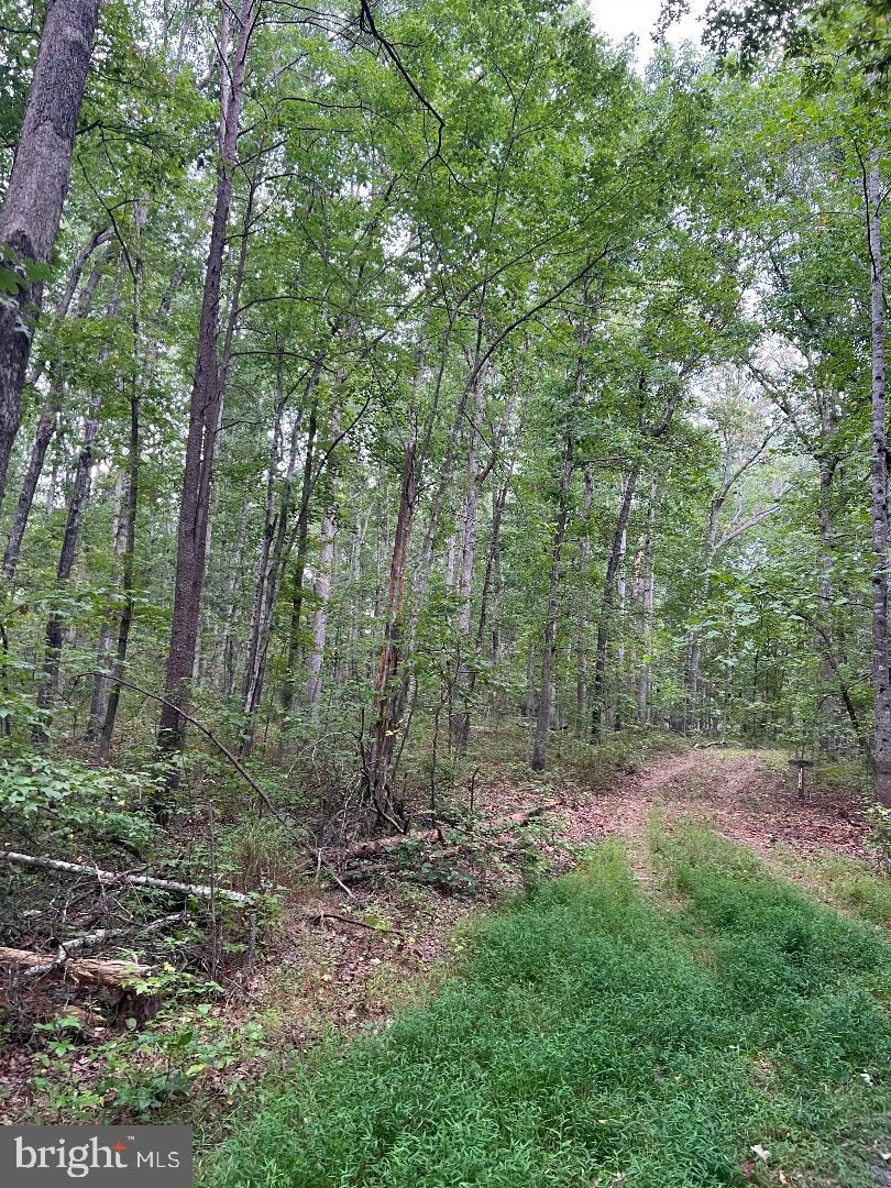 13024 Orange Plank Road Locust Grove, VA 22508 - Photo 3 of 3 Gallery Image 3