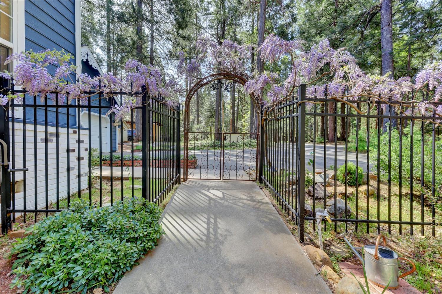 19793 Scotts Flat Road Nevada City, CA 95959 - Photo 34 of 50 a view of a garden