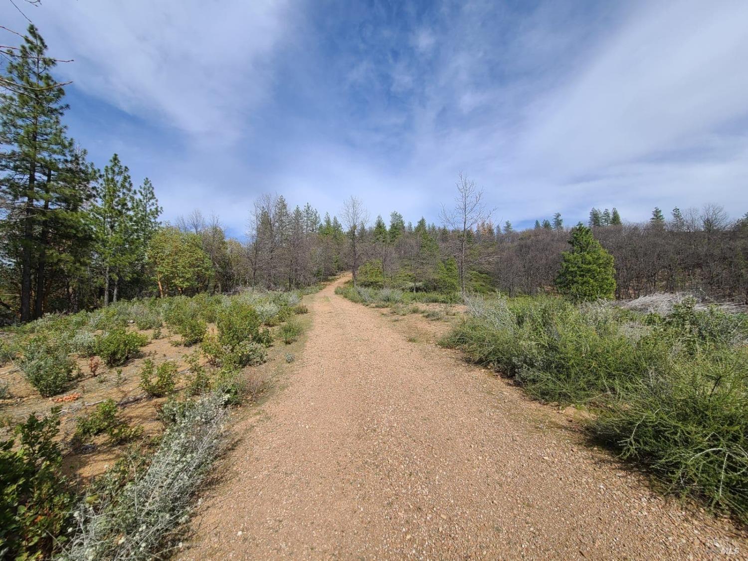 47700 Bentley Ridge Road Covelo, CA 95428 - Photo 46 of 74