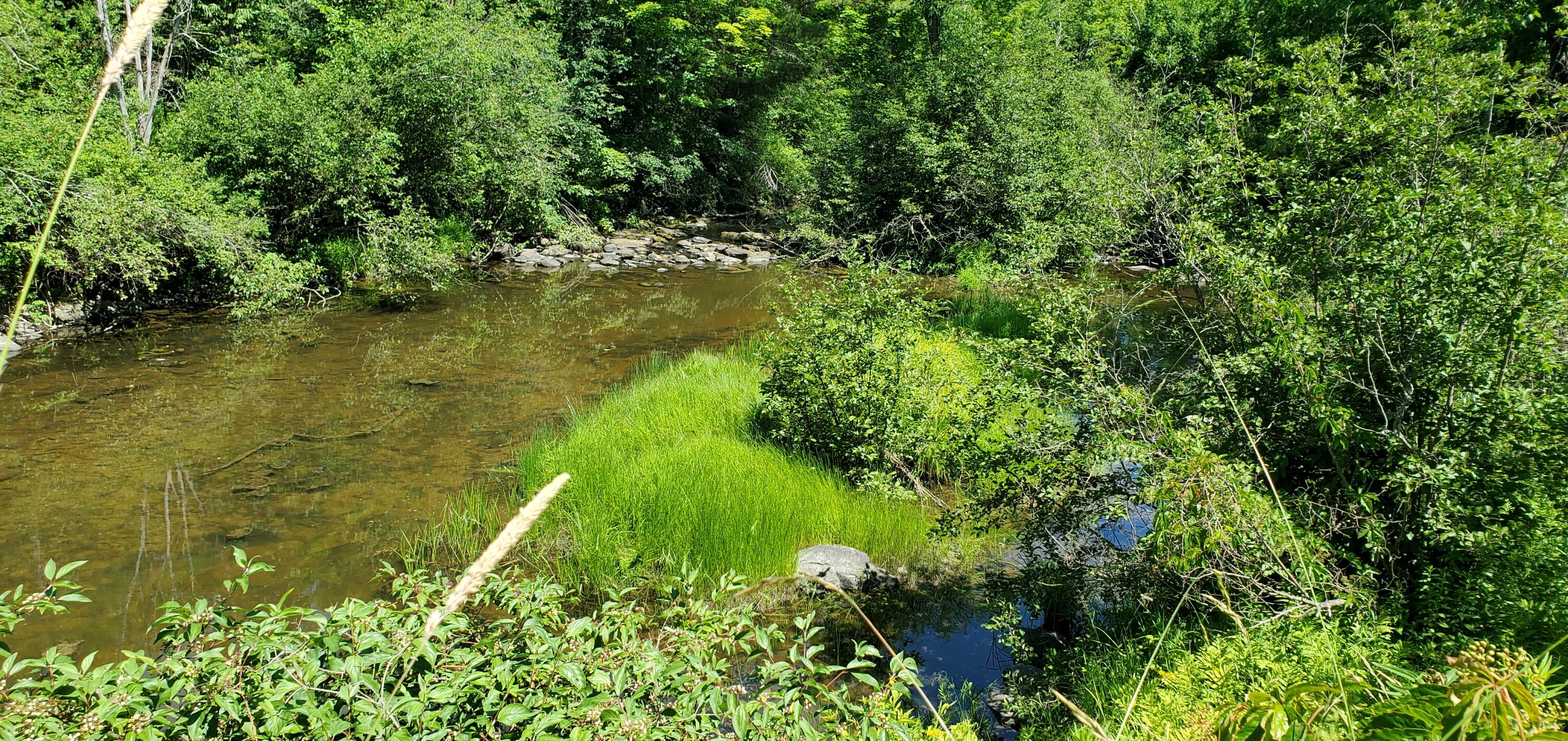 0 Garland Road Carmel, ME 04419 - Photo 11 of 13 Black Stream 2