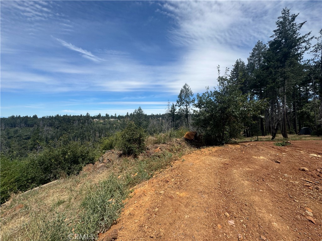 1400 Bader Mine Road Paradise, CA 95969 - Photo 10 of 16