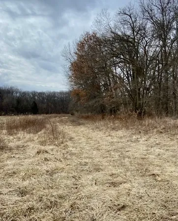 a view of swimming pool with yard and trees in the background