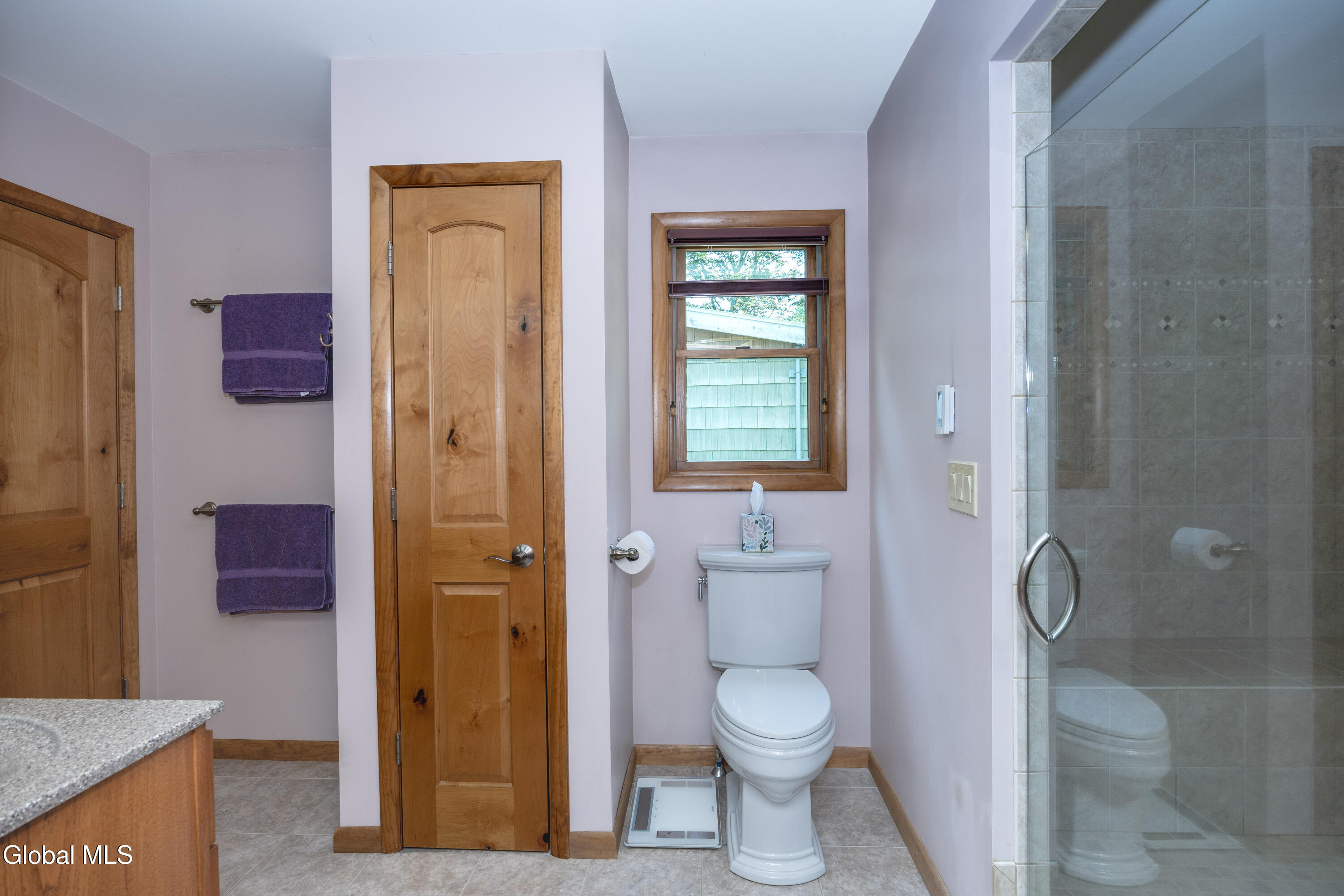 1187 Burden Lake Road Sand Lake, NY 12018 - Photo 29 of 71 39-0D2A4285