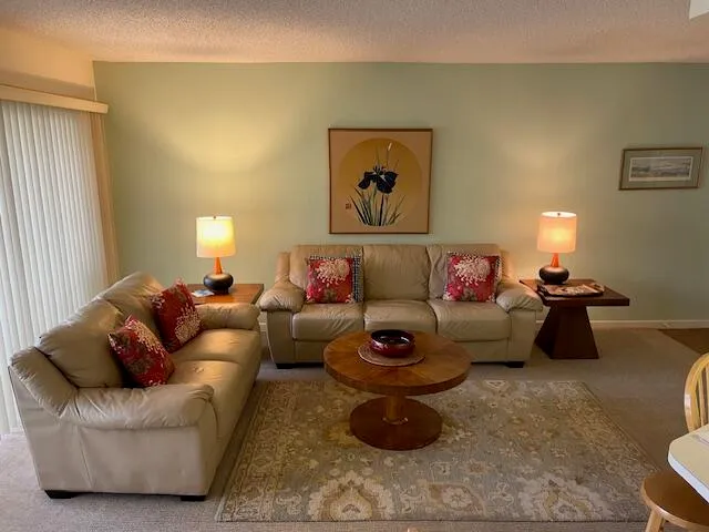 a living room with furniture and a couch