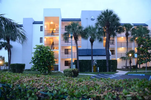 a house with palm tree in front of it