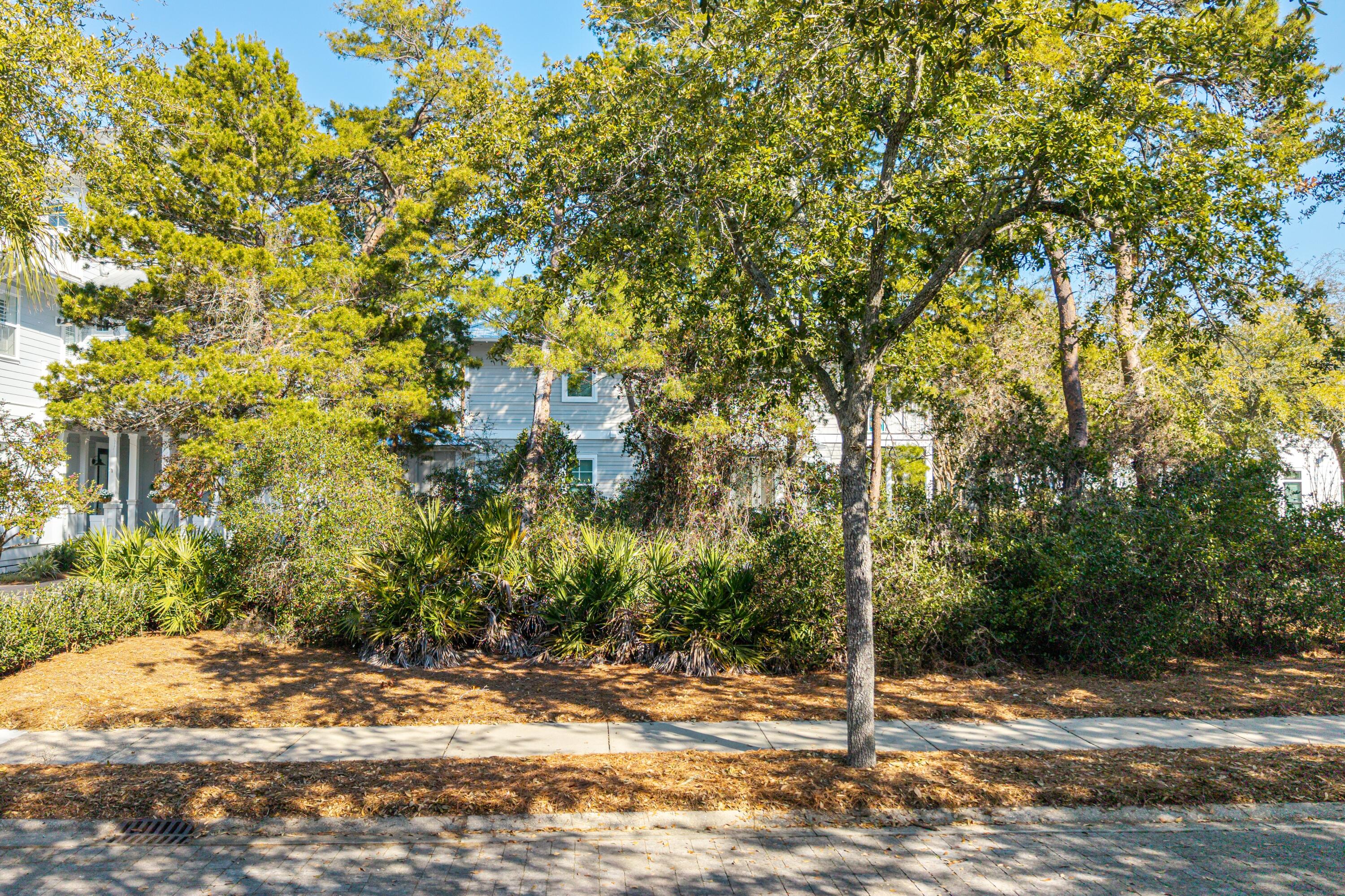 Lot 23 Hiker Street Santa Rosa Beach, FL 32459 - Photo 11 of 43 Close Up of the Lot