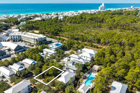 a view of a yard with plants and large trees