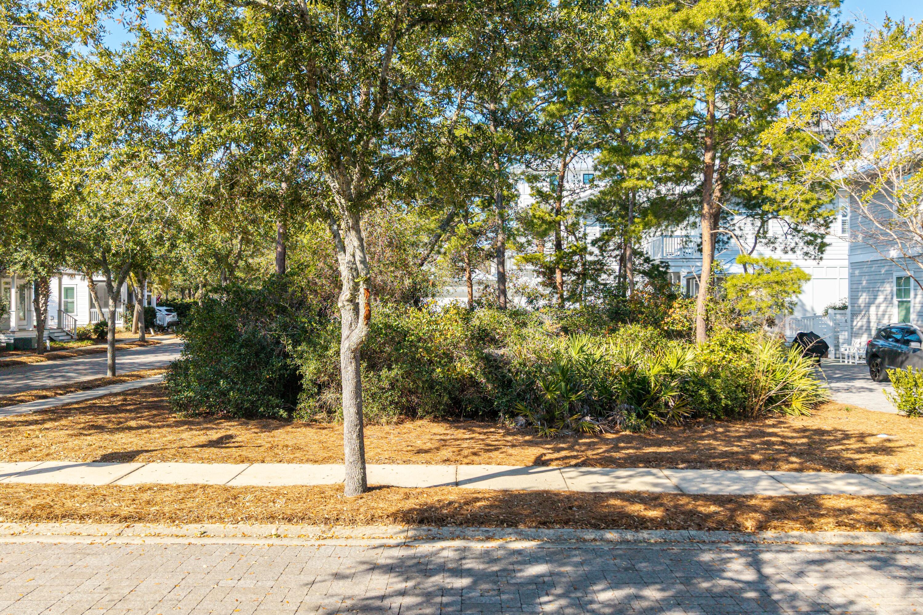 Lot 23 Hiker Street Santa Rosa Beach, FL 32459 - Photo 10 of 43 Close Up of the Lot