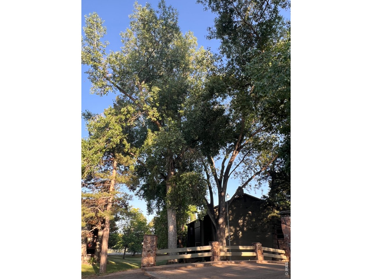 925 Columbia Road, Unit 813 Fort Collins, CO 80525 - Photo 30 of 48 Featuring a charming stone and wood bridge...