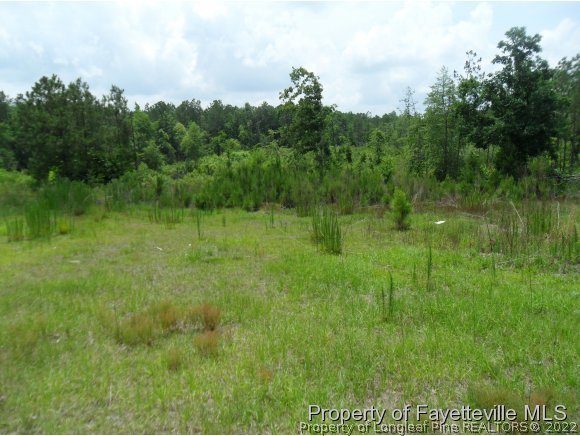 523 Key Road Sanford, NC 27332 - Photo 3 of 6 a view of a lush green space