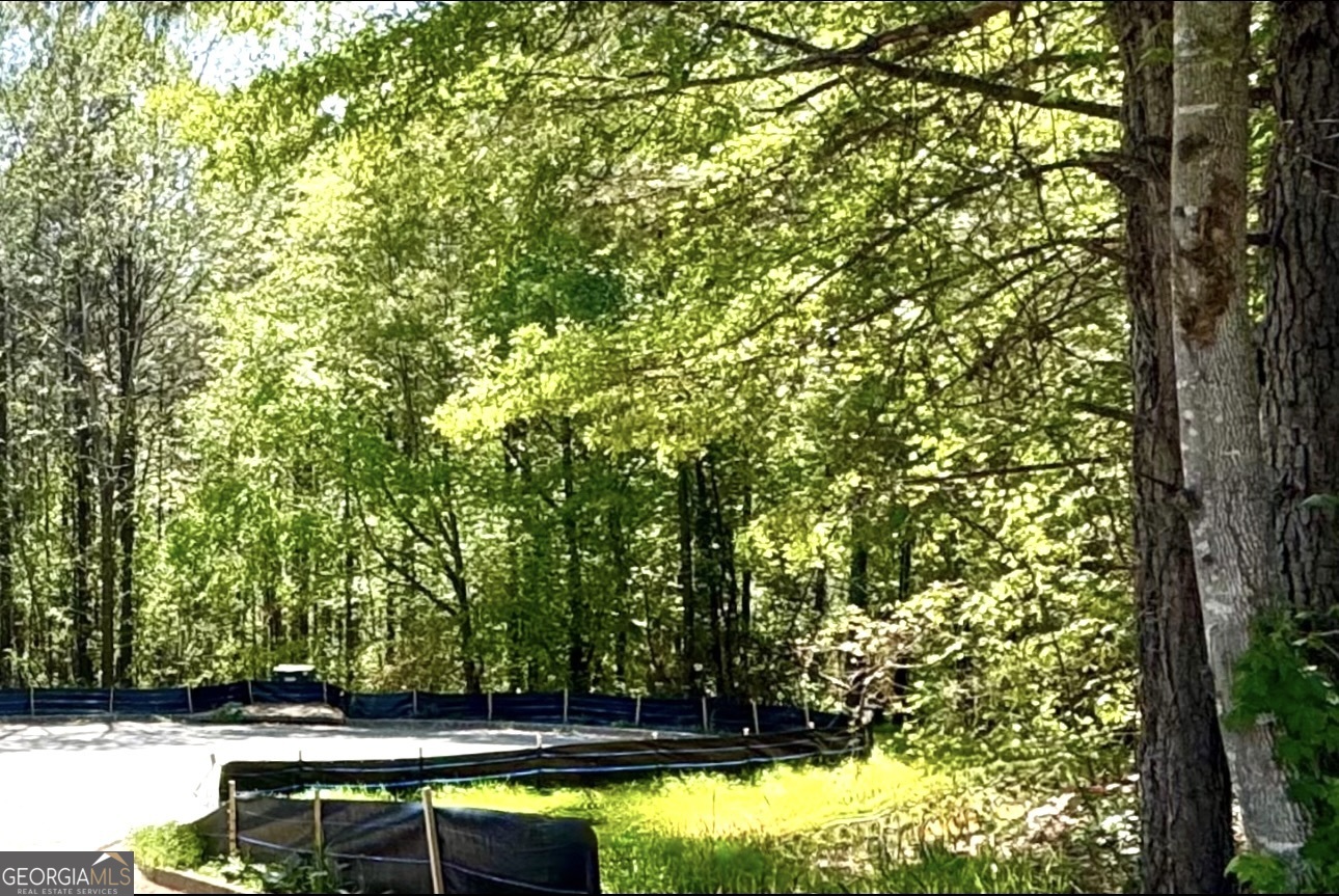 a view of yard with green space