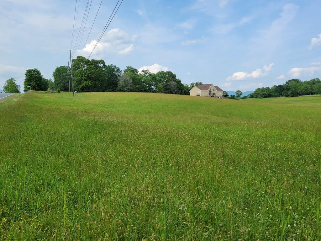 Lot 2 Lizard Ridge Road Bedford, VA 24523 - Photo 5 of 8 Facing North