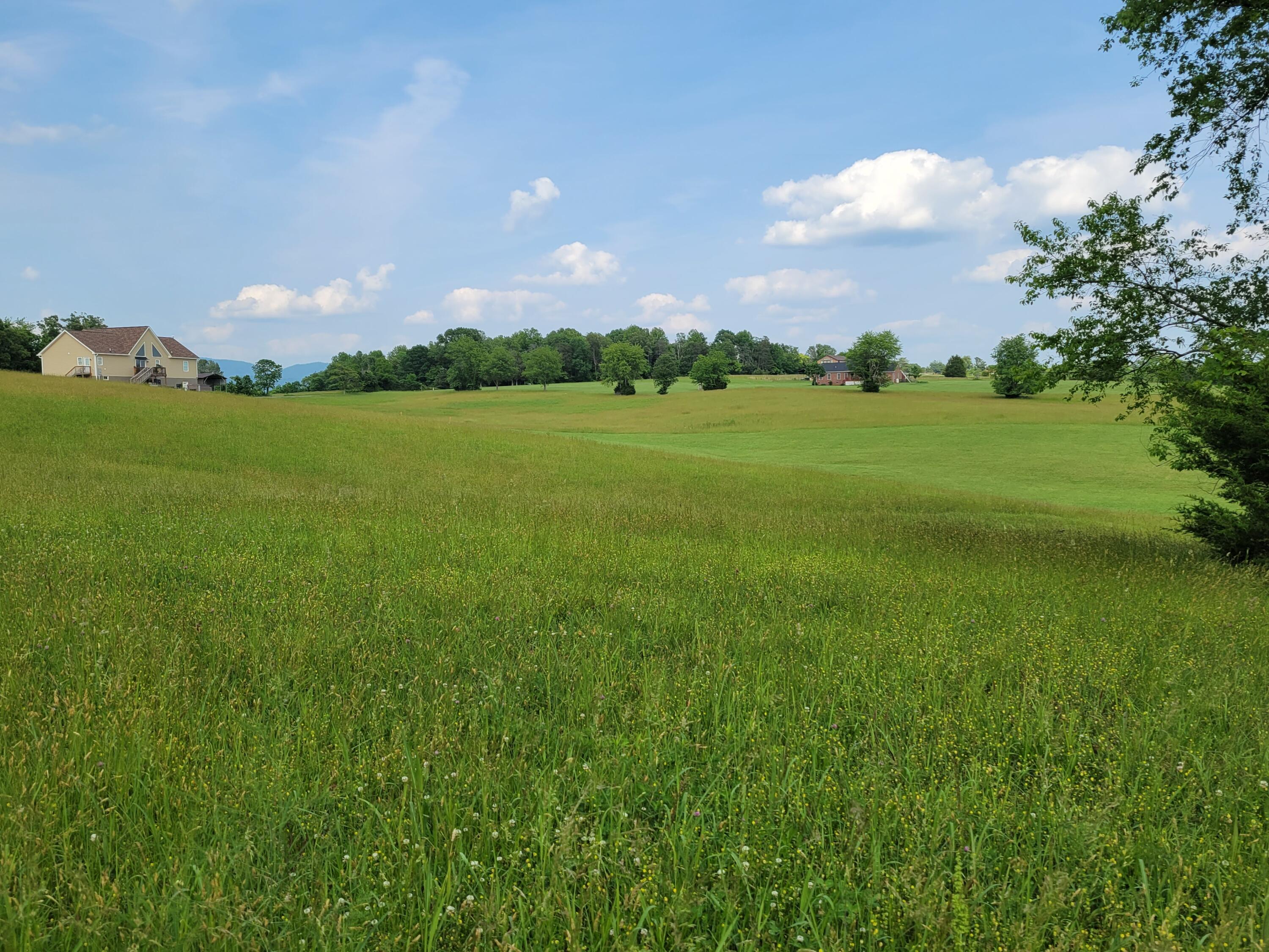 Lot 2 Lizard Ridge Road Bedford, VA 24523 - Photo 6 of 8 20230522_164327