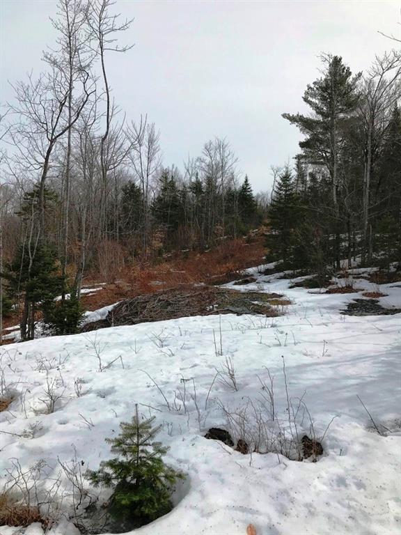 Tbd Blanchard Road Shirley Mills, ME 04485 - Photo 6 of 14 Photo