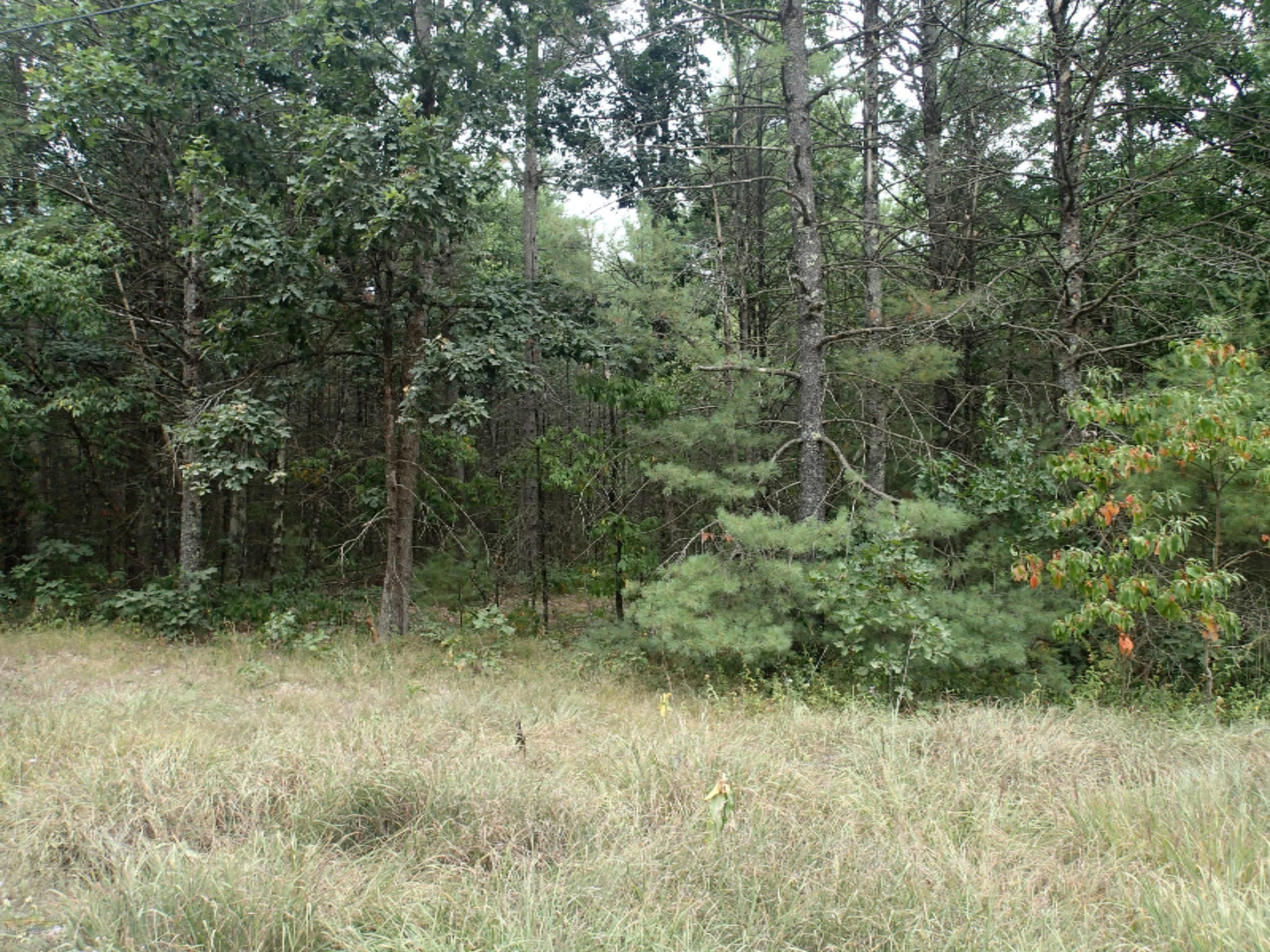 3190 Brunswick Road Holton, MI 49425 - Photo 3 of 3 P8270003