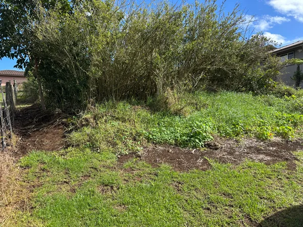 a view of a garden with a bench