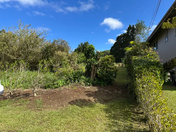 a view of a garden