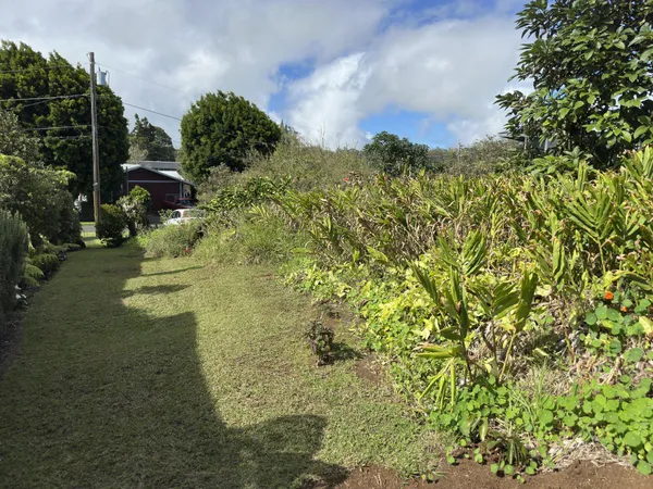 a view of a garden