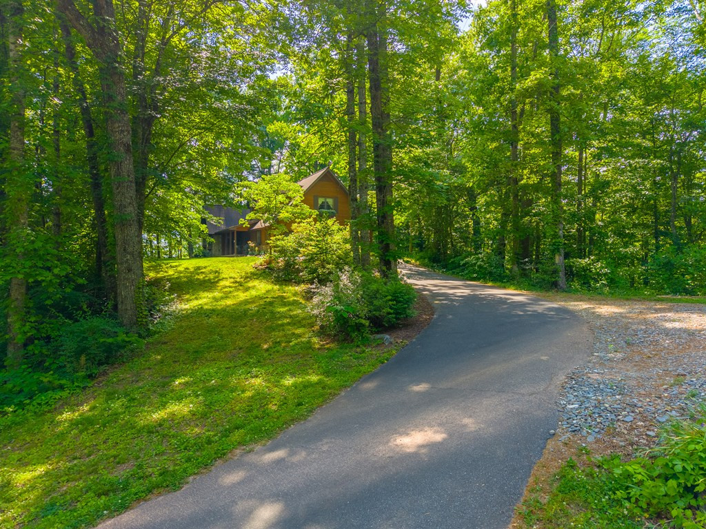 171 High Splendor Drive Robbinsville, NC 28771 - Photo 62 of 62