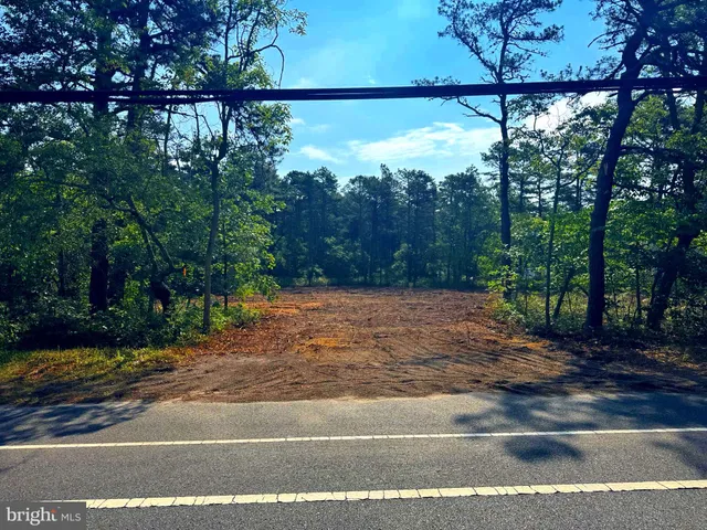 a view of a yard with street