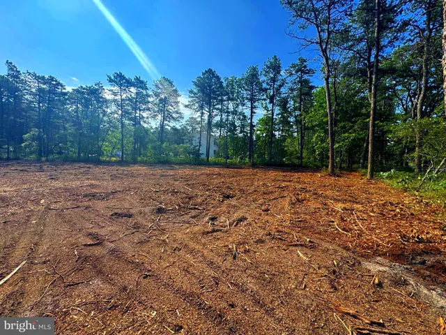 a view of a field with trees in the background