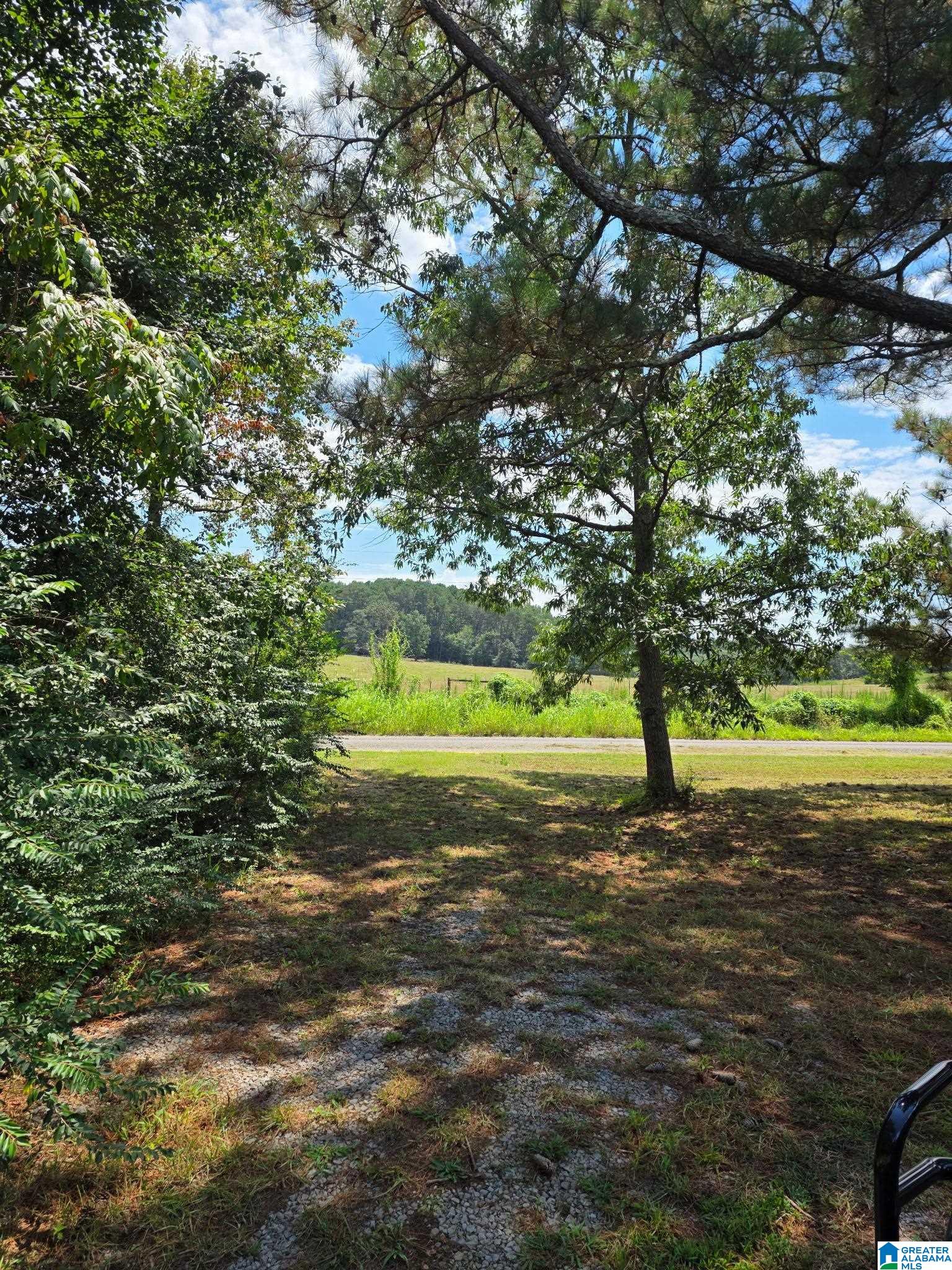 2 County Road 2, Unit 50 / ACRES Double Springs, AL 35553 - Photo 9 of 79