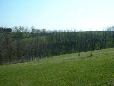 1108 White Oak Road Stamping Ground, KY 40379 - Photo 18 of 18 View of wooded area at back of property