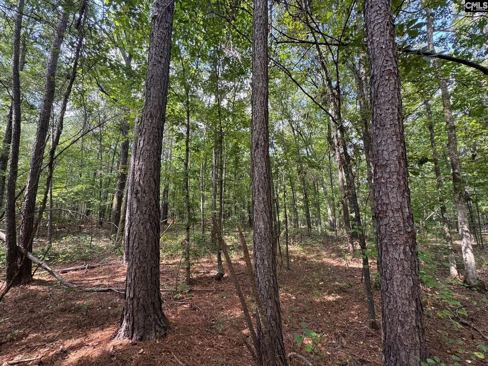 Pencreek Road Johnston, SC 29832 - Photo 5 of 59 Gallery Image 5
