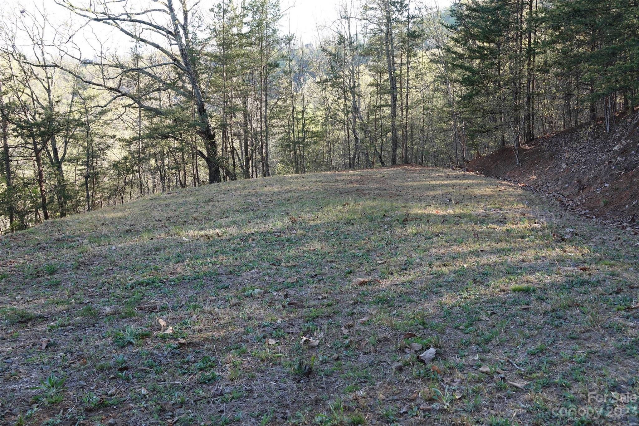 19 Fire Tower Road Bostic, NC 28018 - Photo 23 of 25 Gallery Image 23