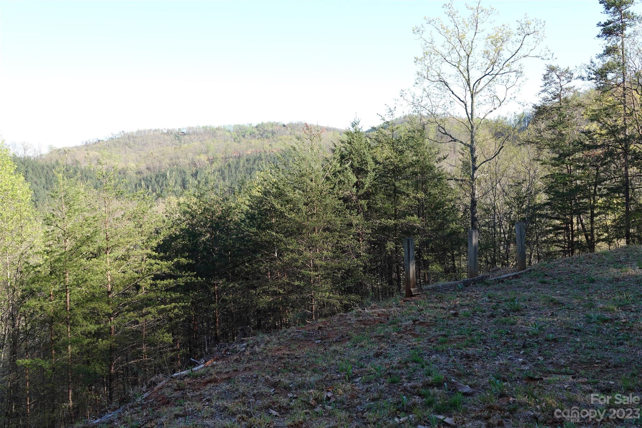 19 Fire Tower Road Bostic, NC 28018 - Photo 5 of 25 Gallery Image 5