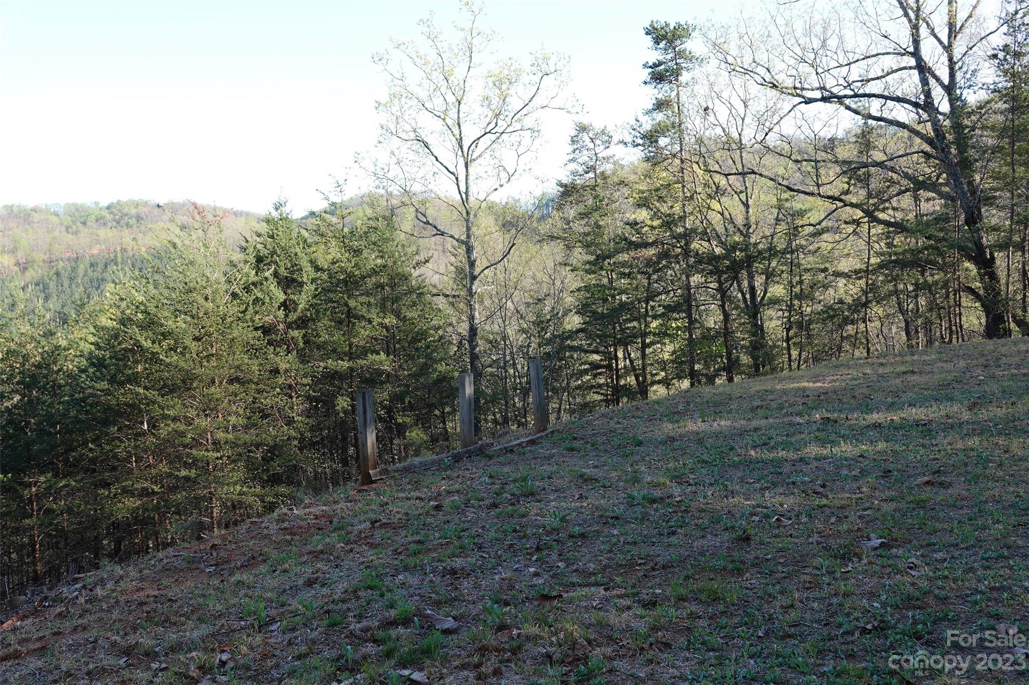 19 Fire Tower Road Bostic, NC 28018 - Photo 7 of 25 Gallery Image 7