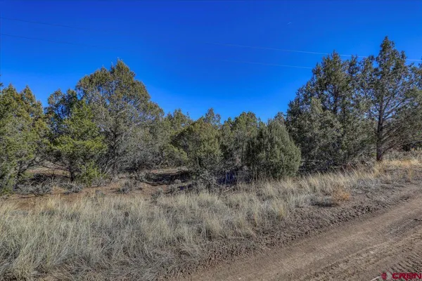 a view of a dry field with lots of bushes