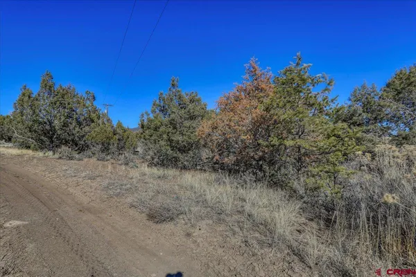 a view of a dry field with trees in the background