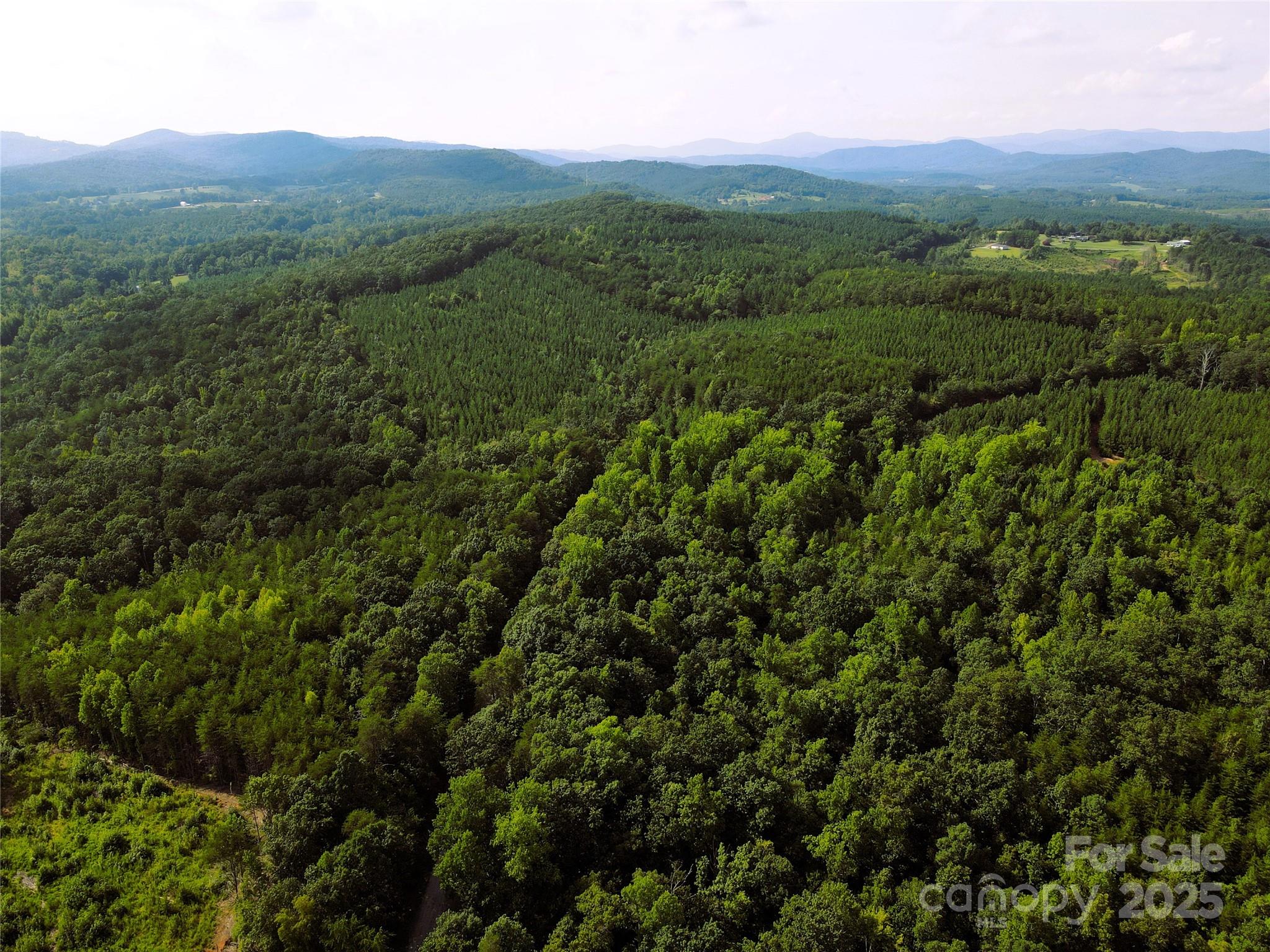 0 Irvin Road Ellenboro, NC 28040 - Photo 10 of 29 Gallery Image 10