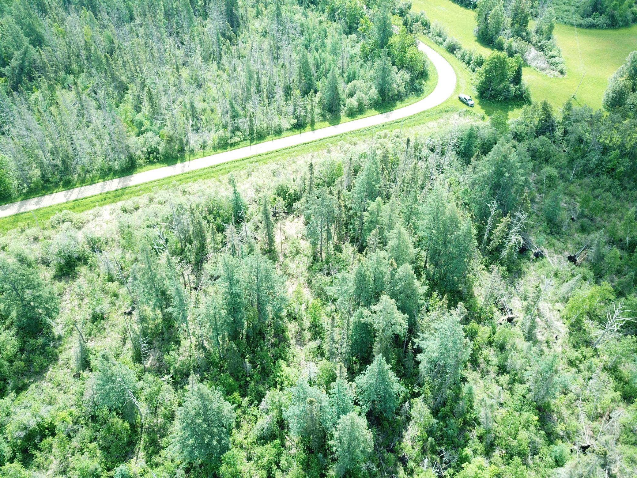Tbd1 Mud Lake Road Bagley, MN 56621 - Photo 16 of 31