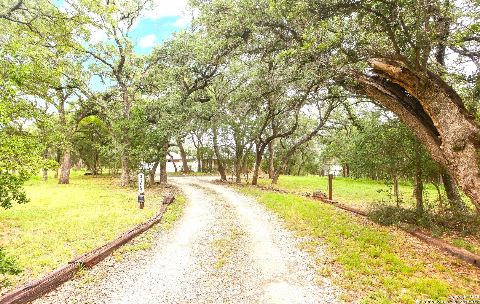 23007 South Breeze Street San Antonio, TX 78258 - Photo 2 of 27 a view of yard with swimming pool