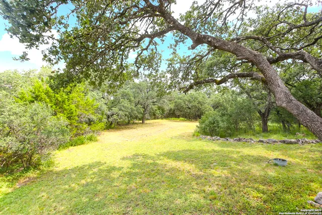 a view of yard with swimming pool and green space