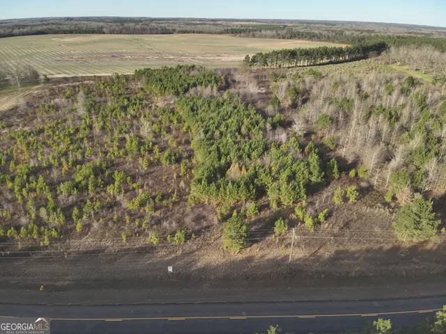 a view of a lake with a mountain
